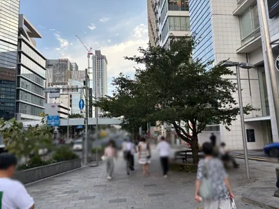 青山ラウンジ(アオヤマラウンジ)への道順 3／7：渡ったら道路を左手に直進します。