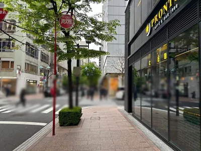 笹木 (ささき)への道順 7／11：十字路に出たら横断歩道を渡って右折します。