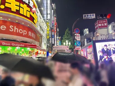 ラブピアへの道順 5／12：横断歩道を渡ったら右折します。