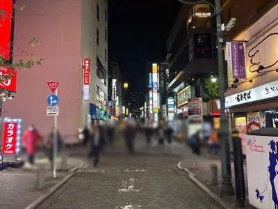 アイリスへの道順 3／5：一つ目の十字路を超えて直進をします。