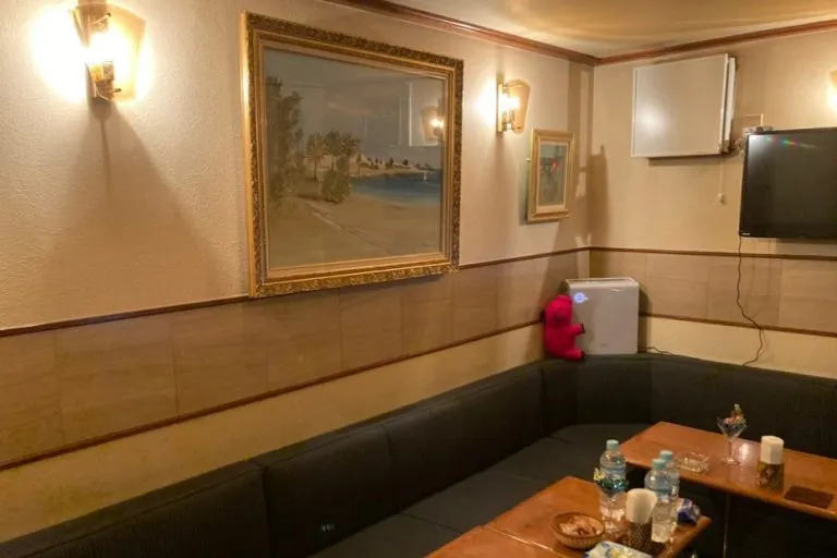 早乙女 (さおとめ)の店内