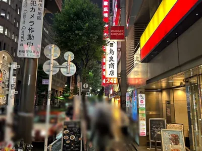 ラブピアへの道順 9／12：横断歩道を渡ったら左折します。