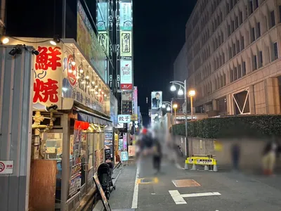 ハヤブサへの道順 8／10：T字路を超えて直進します。