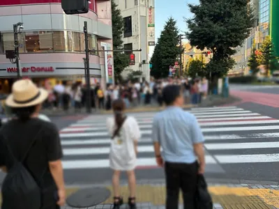 アジアンクラブへの道順 8／11：「新宿区役所」の交差点に出たら横断歩道を渡って左折します。