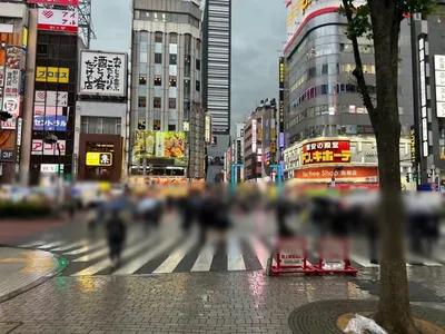 LP東京への道順 4／8：「歌舞伎町」の交差点に出たら横断歩道を正面にわたります。