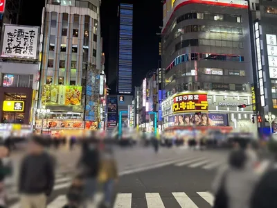 ピークへの道順 4／13：路地を直進すると「歌舞伎町」の交差点に出るので横断歩道を渡ります。
