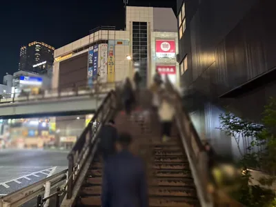 ヴィヴィへの道順 3／12：歩道橋を上ります。