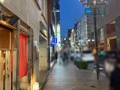 オネスティへの道順 8／11：直進します。