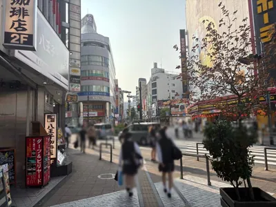 プロムドットへの道順 7／12：二つ目の横断歩道を渡らずに左折します。