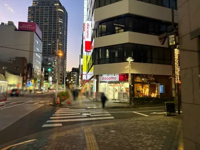 不死鳥 （フシチョウ）への道順 5／6：三つ目の右手路地を横断歩道を渡り直進します。