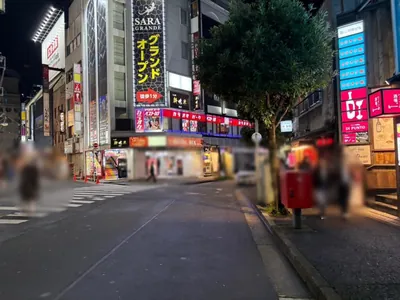 ヴィヴィへの道順 10／12：Y字路を右に進みます。