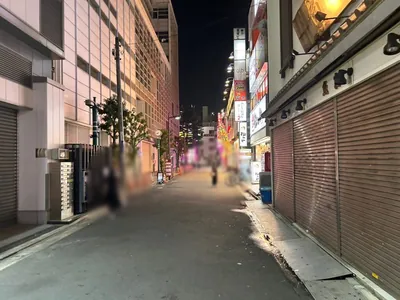 蓮 （レン）への道順 6／10：直進します。