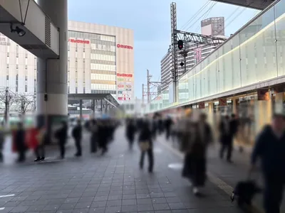 シャンクスへの道順 3／16：ロータリーを左手に進みます。