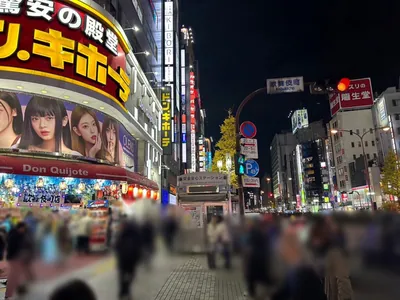 エルフィンへの道順 5／11：横断歩道を渡ったら右折します。