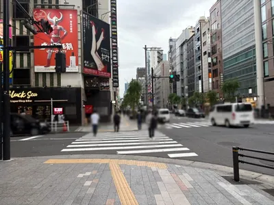 エスへの道順 7／8：五つ目の横断歩道も渡って直進を続けます。