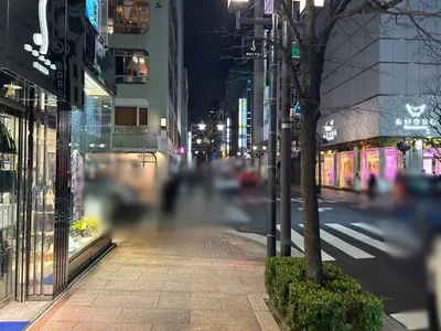 メゾンドエムへの道順 9／10：直進を続けると十字路に出るので横断歩道を渡らずに左折します。