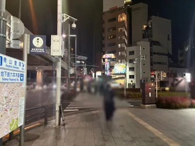 ハチカイへの道順 4／14：横断歩道を渡って直進を続けます。