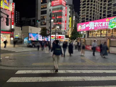 二次元カノジョ （ニジゲンカノジョ）への道順 2／6：駅を背にして目の前の横断歩道を渡ります。