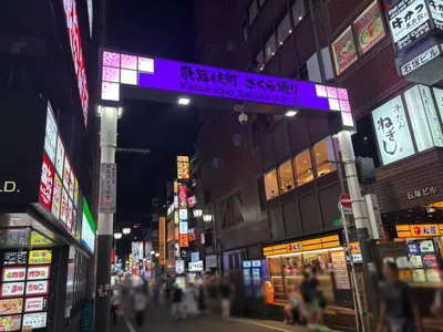 ビゼへの道順 7／13：直進します。
