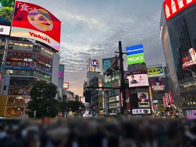 フォーシーズンへの道順 3／6：スクランブル交差点を斜め左に渡ります。