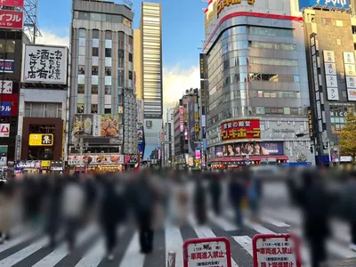 サキュバニートウキョウ （サキュ×バニーTOKYO）への道順 4／8：直進すると「歌舞伎町」の交差点に出るので横断歩道を正面に渡ります。