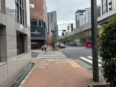 加賀美 （カガミ）への道順 7／11：「難波橋」の交差点に出たら横断歩道を渡って直進します。