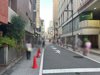 櫻子 （さくらこ）への道順 8／9：直進します。