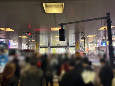 ティアラへの道順 3／7：直進し、ガード下の横断歩道を渡ります。