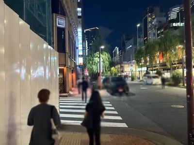 藤谷 (フジタニ)への道順 5／8：左手路地を越えて直進します。