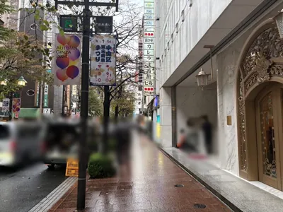 ロイヤルガーデンへの道順 9／10：直進してT字路を越えます。