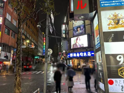 ポセイドンへの道順 11／12：「新宿区役所通り(風林会館)」の交差点に出たら横断歩道を渡って直進を続けます。
