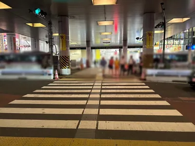 ベルレイズへの道順 3／8：直進し、ガード下の横断歩道を渡ります。