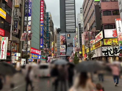 LP東京への道順 5／8：横断歩道を渡ったら直進します。
