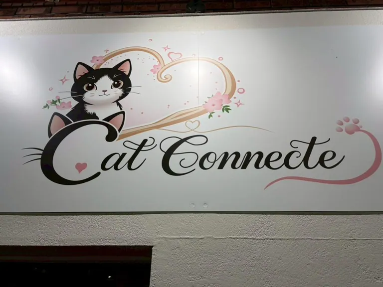 キャットコネクトの店内