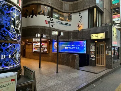 しえくりへの道順 11／11：少し進むと左手に歌舞伎町しえくりの入る「ザ・カテリーナビル」があります。