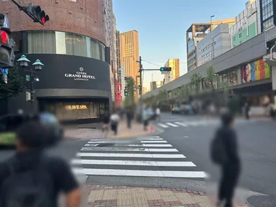 櫻子 （さくらこ）への道順 6／9：「難波橋」の交差点も渡って直進を続けます。