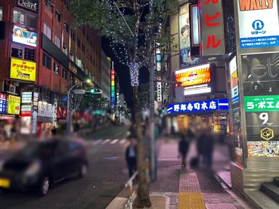 エルフィンへの道順 10／11：直進すると「新宿区役所通り(風林会館)」の交差点に出るので横断歩道を渡って直進します。