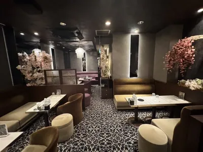 ノヴァの店内