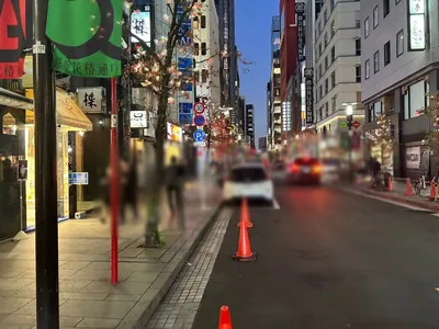 ジャロへの道順 9／12：直進します。