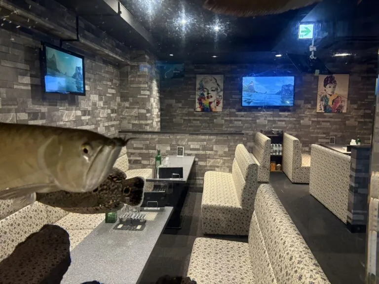 松戸　レイアの店内