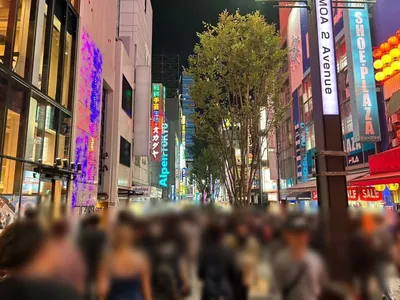 ネロへの道順 4／10：直進します。