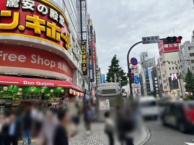 華灯 （ハナビ）への道順 5／11：横断歩道を渡ったら右折します。