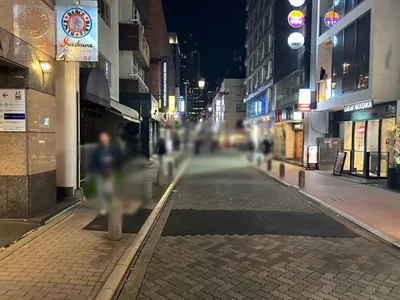 奏 （カナデ）への道順 4／6：直進します。