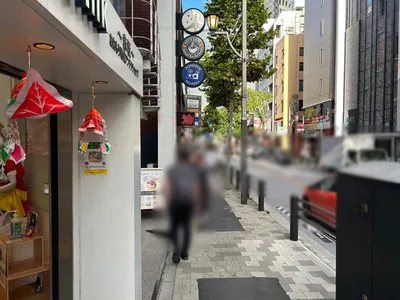 ニューペリエへの道順 4／6：直進します。