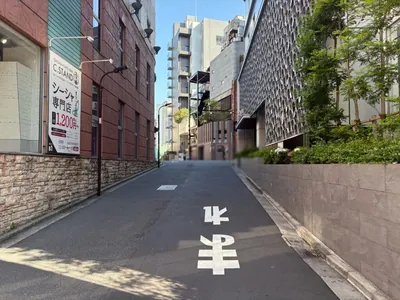 セリーネへの道順 5／8：直進します。