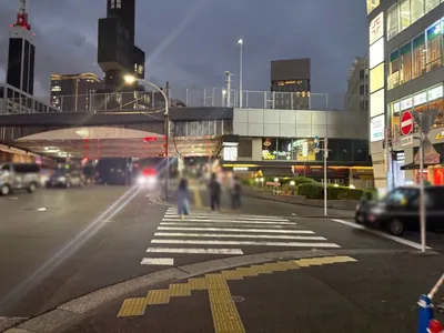 フジコへの道順 3／9：一つ目の横断歩道を渡り直進します。