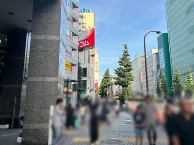 グレへの道順 8／13：「新宿区役所」の交差点に出たら横断歩道を渡ります。