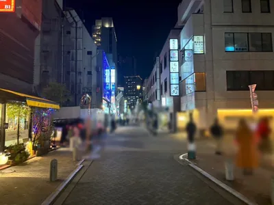 アイリスへの道順 4／5：二つ目の十字路も超えて直進をします。