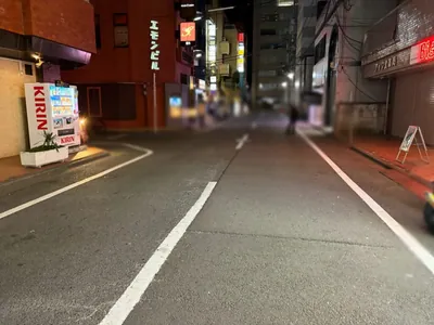 ヴィブロスへの道順 10／11：左手二つ目の路地も越えて直進を続けます。