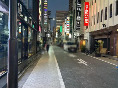ジャロへの道順 11／12：直進します。